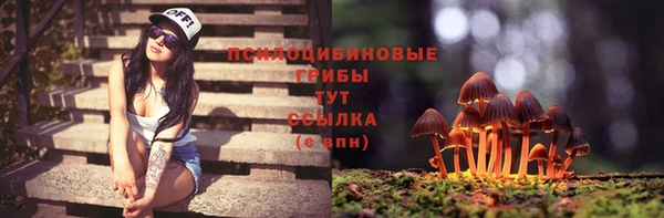 бошки Алзамай