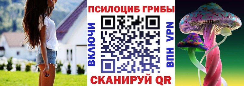 Псилоцибиновые грибы Cubensis  Чаплыгин 