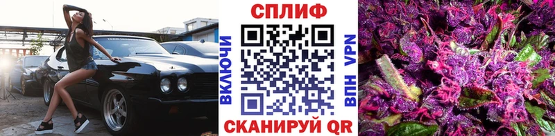 Бошки Шишки Amnesia  Чаплыгин 